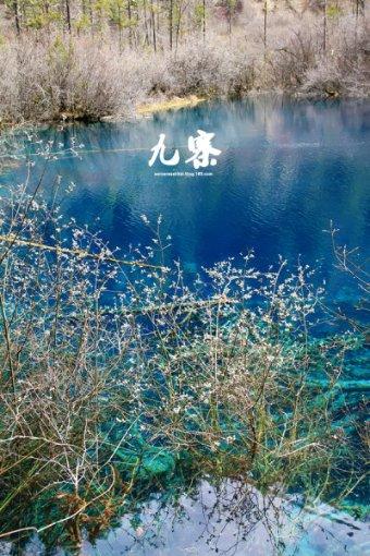 救援女同学