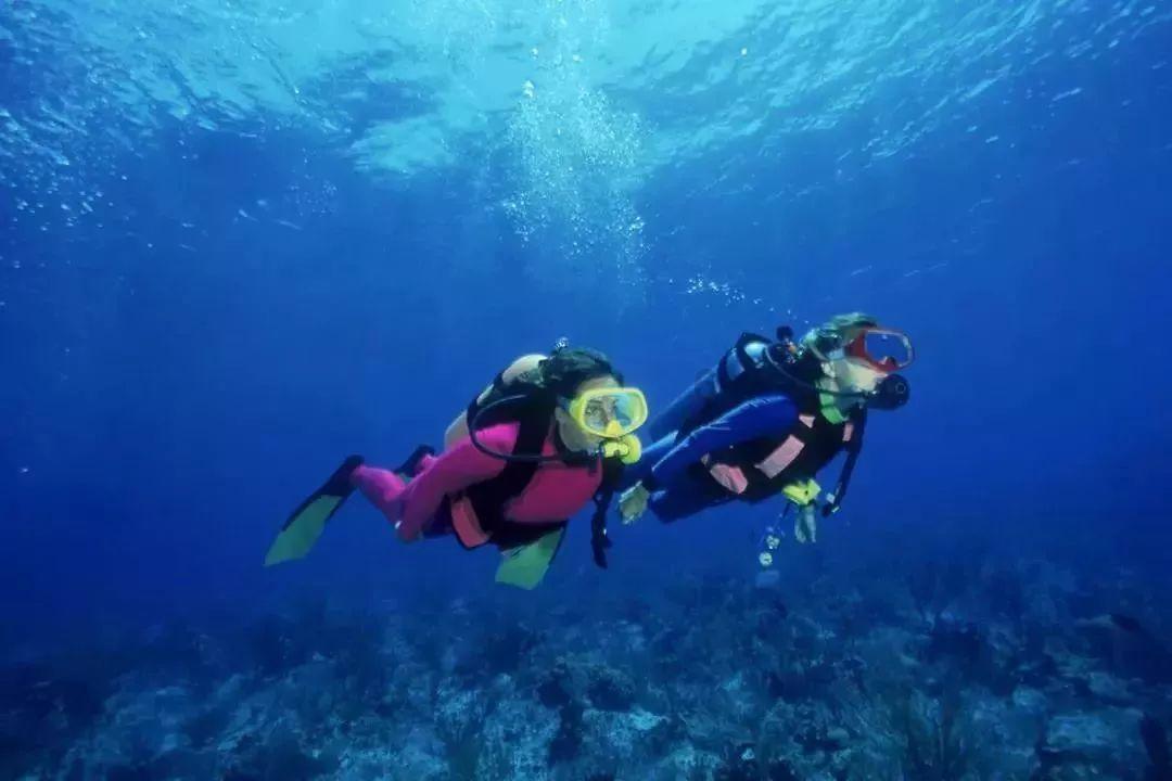 暗黑血统2