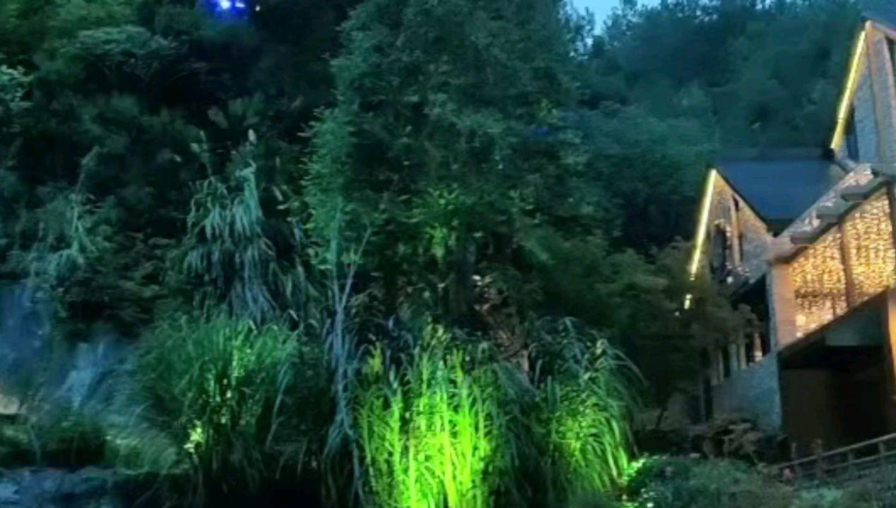 恐怖黎明
